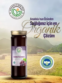Organik Üzüm Pekmezi Özü