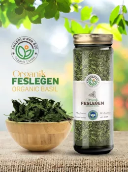 Organik Fesleğen (Yeşil)