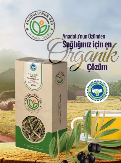 Organik Zeytin Yaprağı Çayı