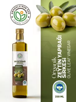  Zeytin Yaprağı  Sirkesi