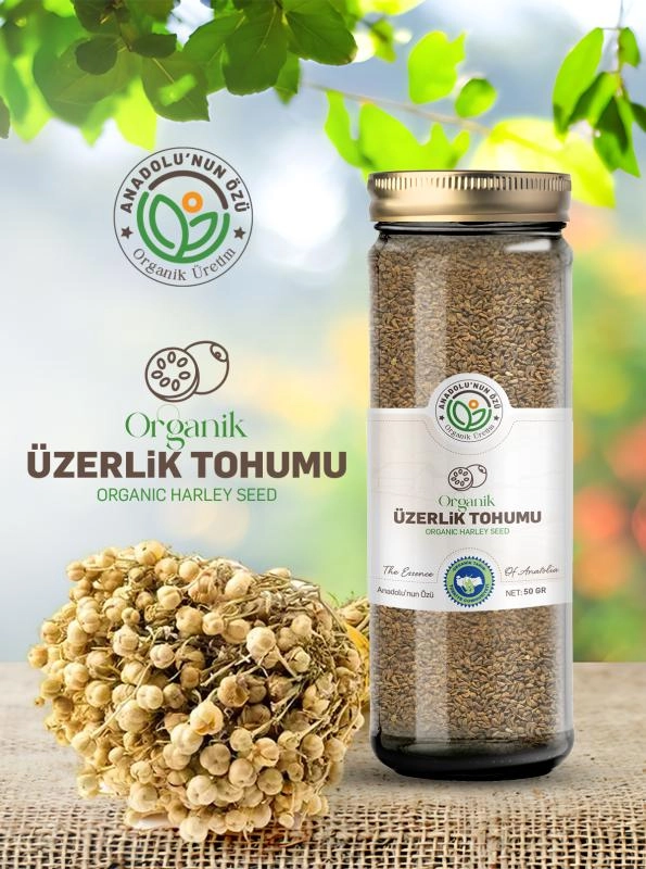 %20Üzerlik%20Tohumu