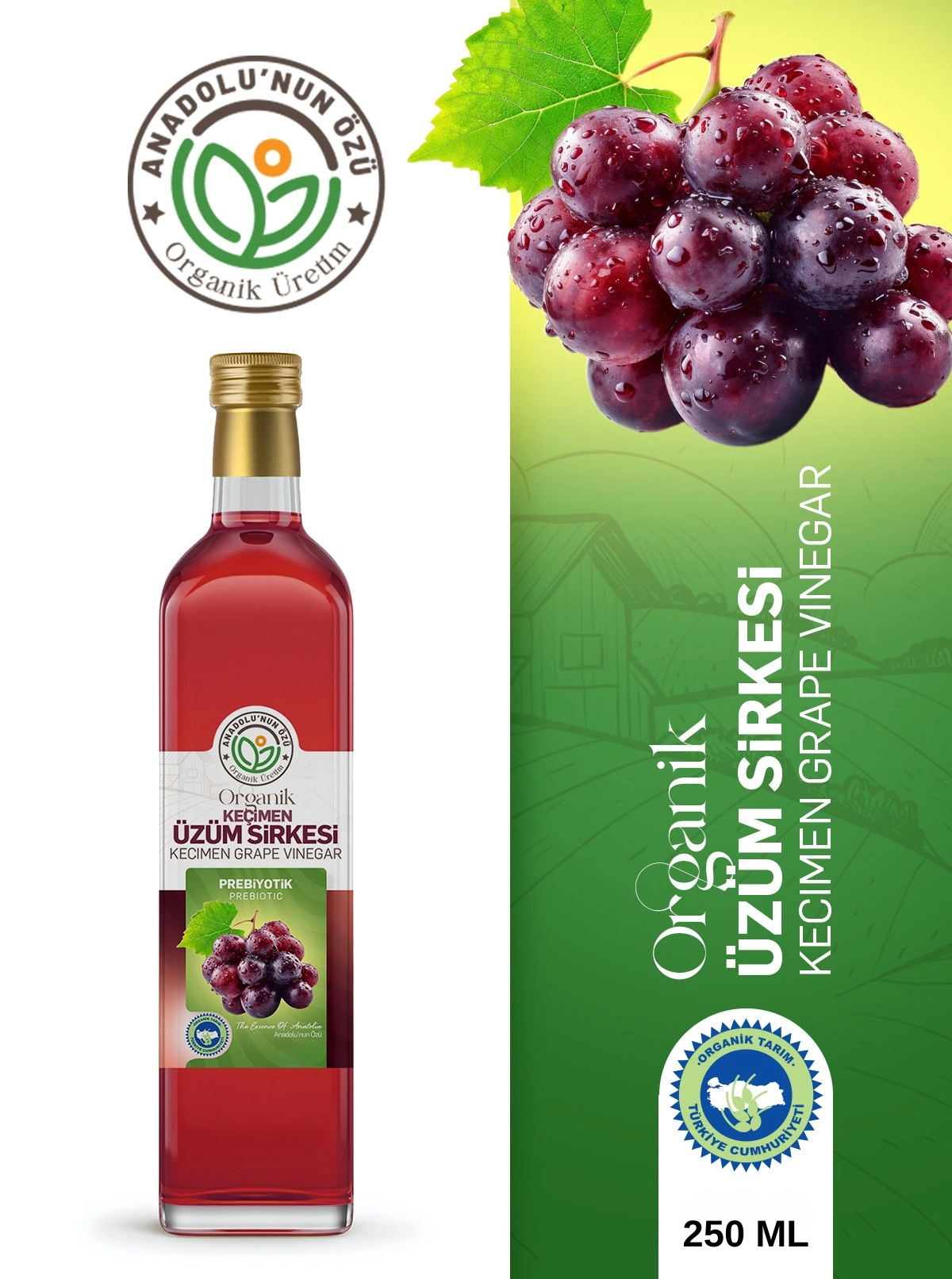 Organik%20Üzüm%20Sirkesi%20